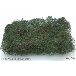 Rovi Cespugli fioritura viola